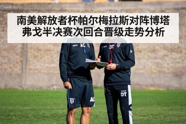 南美解放者杯帕尔梅拉斯对阵博塔弗戈半决赛次回合晋级走势分析 - Kaiyun Sports